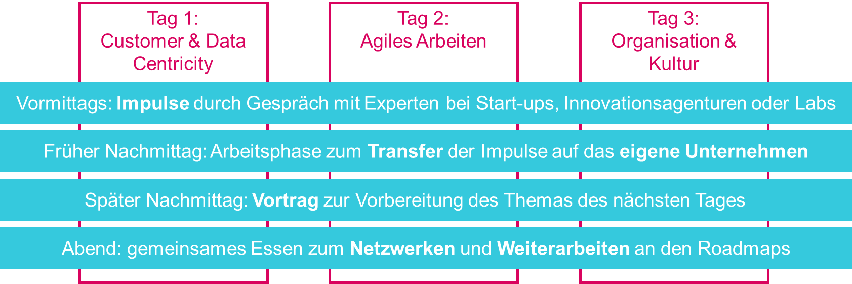 Ablauf-Grafik-TDS
