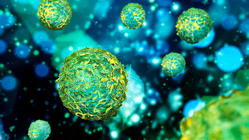 Begünstigen HPV wirklich orale Tumoren? Begünstigen HPV wirklich orale Tumoren?