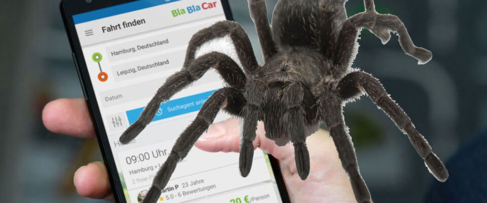 "Spider" ist eine Speicher-Engine mit integrierten Sharding-Funktionen und nun nebst MariaDB bei BlaBlaCar im Einsatz. "Spider" ist eine Speicher-Engine mit integrierten Sharding-Funktionen und nun nebst MariaDB bei BlaBlaCar im Einsatz.