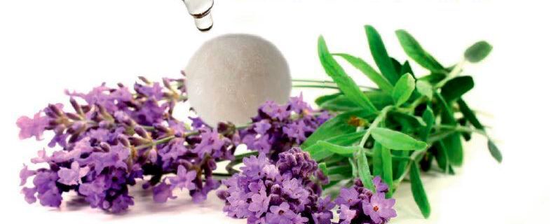 Microencapsulation of essential oils by spray granulation musing spouted bed technology Microencapsulation of essential oils by spray granulation musing spouted bed technology