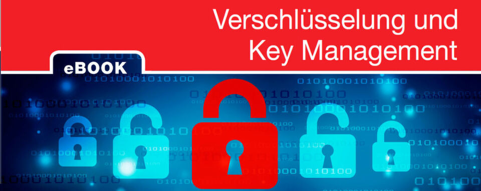 Verschlüsselung ist eines der wichtigsten und zugleich problematischsten Compliance-Themen. Verschlüsselung ist eines der wichtigsten und zugleich problematischsten Compliance-Themen.