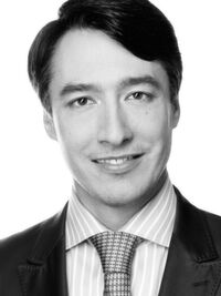 Alexander M. Swoboda, Chief Executive Officer, Chairman, FACTON Inc. Alexander M. Swoboda, Chief Executive Officer, Chairman, FACTON Inc.