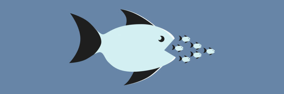 Immer häufiger hört man, dass sich kleinere Systemhäuser bei den größeren Fischen der Branche zum Verkauf anbieten. Immer häufiger hört man, dass sich kleinere Systemhäuser bei den größeren Fischen der Branche zum Verkauf anbieten.