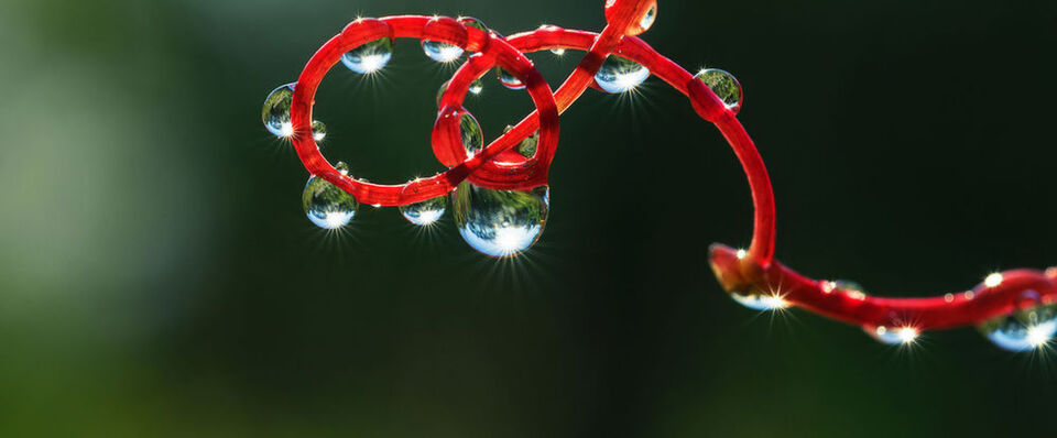 Damit die IT wie am Schnürchen läufr, braucht es auch eine neue Struktur der Zuständigkeiten. Diese kann sich an DevOps-Modellen orientieren. Damit die IT wie am Schnürchen läufr, braucht es auch eine neue Struktur der Zuständigkeiten. Diese kann sich an DevOps-Modellen orientieren.