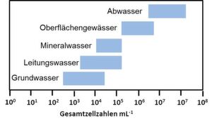 Abb. 2: Gesamtzellzahlkonzentrationsbereiche für verschiedene Wassertypen, wie sie typischerweise mit Durchflusszytometrie detektiert werden. Modifiziert in Anlehnung an Egli und Hammes, 2010. Gas Wasser Abwasser. Abb. 2: Gesamtzellzahlkonzentrationsbereiche für verschiedene Wassertypen, wie sie typischerweise mit Durchflusszytometrie detektiert werden. Modifiziert in Anlehnung an Egli und Hammes, 2010. Gas Wasser Abwasser.