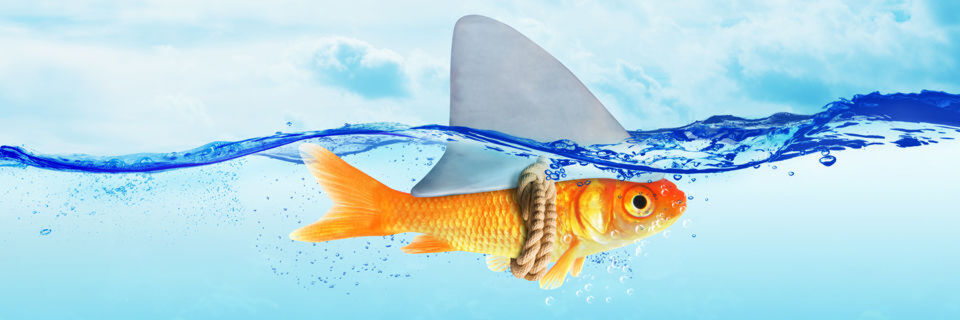 Der CIO ist nicht mehr nur der Hüter der IT, sondern muss heute aktiv zu Innovation und Geschäftserfolg seines Unternehmens beitragen. Der CIO ist nicht mehr nur der Hüter der IT, sondern muss heute aktiv zu Innovation und Geschäftserfolg seines Unternehmens beitragen.