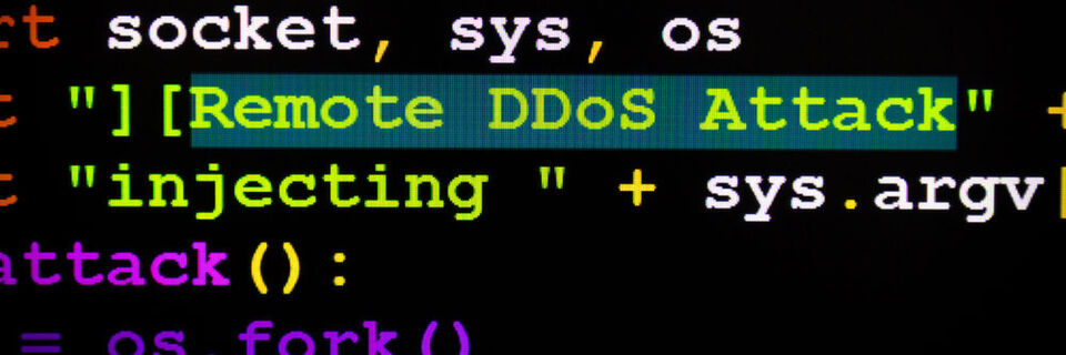 Angriffe über das Domain Name System (DNS) werden immer populärer. Angriffe über das Domain Name System (DNS) werden immer populärer.