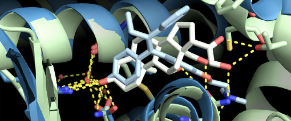 Die Transinsight GmbH gehört zu den Kunden von Fortissimo und soll für die Klientel typisch sein. Sie entwickelt wissensbasierte semantische Lösungen für die Life-Sciences. Das Flagschiffprodukt „GoPubMed“ ist die erste Such-Systeme dieser Art im Internet. Die Transinsight GmbH gehört zu den Kunden von Fortissimo und soll für die Klientel typisch sein. Sie entwickelt wissensbasierte semantische Lösungen für die Life-Sciences. Das Flagschiffprodukt „GoPubMed“ ist die erste Such-Systeme dieser Art im Internet.