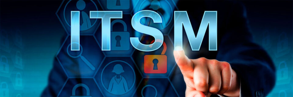 Fünf Tipps zur Einführung eines professionellen IT Service Managements. Fünf Tipps zur Einführung eines professionellen IT Service Managements.