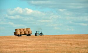 Digitale Technologien können die Arbeit in der Landwirtschaft beträchtlich erleichtern. Digitale Technologien können die Arbeit in der Landwirtschaft beträchtlich erleichtern.