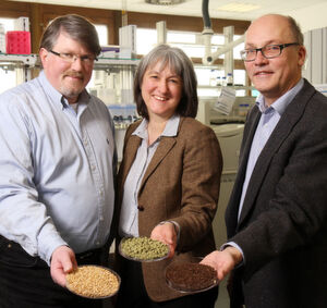 Prof. Roland Ulber (li.), Prof. Elke Richling und Prof. Werner Thiel erforschen, wie Braurückstände sinnvoll genutzt werden können. Prof. Roland Ulber (li.), Prof. Elke Richling und Prof. Werner Thiel erforschen, wie Braurückstände sinnvoll genutzt werden können.