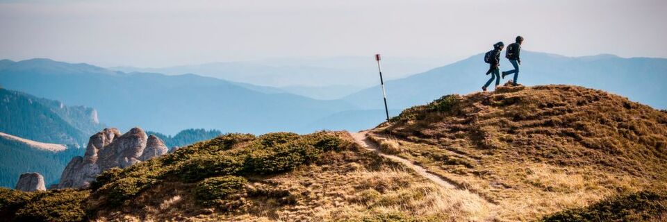 Eine starke Marke ist mehr als nur Logo und Kommunikation. Wichtig ist es für Unternehmen ihre Marken zu führen und dabei nicht vom Weg abzukommen. So verschenken sie nur wertvolle Potenziale. Eine starke Marke ist mehr als nur Logo und Kommunikation. Wichtig ist es für Unternehmen ihre Marken zu führen und dabei nicht vom Weg abzukommen. So verschenken sie nur wertvolle Potenziale.