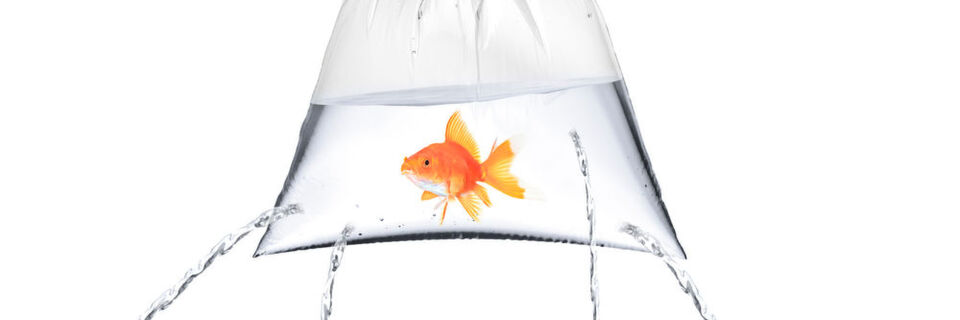 Ohne es zu merken haben viele Unternehmen Löcher in ihren einst so sicheren Perimeter geschlagen, denn neue Technologien öffnen auch neuen Sicherheitslücken Tür und Tor. Ohne es zu merken haben viele Unternehmen Löcher in ihren einst so sicheren Perimeter geschlagen, denn neue Technologien öffnen auch neuen Sicherheitslücken Tür und Tor.