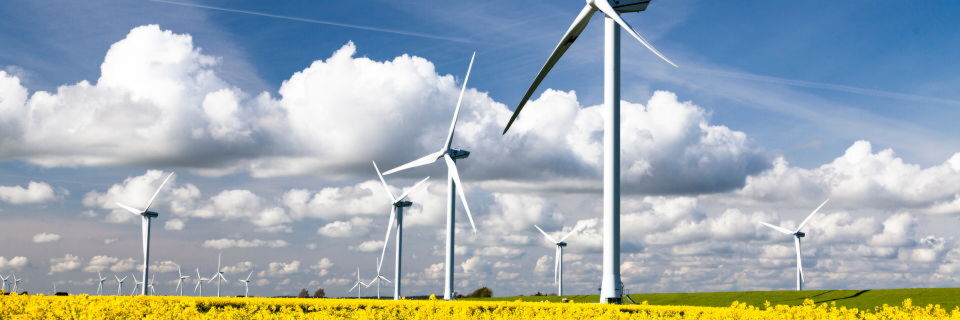 Nordfriesland: Jede Menge regenerative Energie Nordfriesland: Jede Menge regenerative Energie
