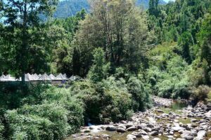 Lachs-Aquakultur am Rio Niltre, einem kleinen Fluss in Chile. Hier wird die jüngste Generation der Lachse aufgezogen. Die Abwässer werden durch ein Rohr (Bildmitte) in den Fluss geleitet. Lachs-Aquakultur am Rio Niltre, einem kleinen Fluss in Chile. Hier wird die jüngste Generation der Lachse aufgezogen. Die Abwässer werden durch ein Rohr (Bildmitte) in den Fluss geleitet.