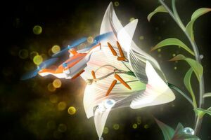 Bienendrohne: Der 4 cm große Quadrocopter trägt an der Unterseite einen Besatz von Pferdehaar, an dem Pollen hängen bleiben. Bienendrohne: Der 4 cm große Quadrocopter trägt an der Unterseite einen Besatz von Pferdehaar, an dem Pollen hängen bleiben.