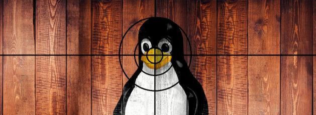 Im Visier der Hacker: Bei linuxbasierten IoT-Geräten kompromittieren schlechtes Systemdesign, problematische Rechtevergabe sowie fehlende Updates die Sicherheit. Im Visier der Hacker: Bei linuxbasierten IoT-Geräten kompromittieren schlechtes Systemdesign, problematische Rechtevergabe sowie fehlende Updates die Sicherheit.