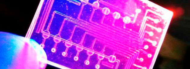 Vorsichtig hält Professor Peter Ertl den winzigen Bio-Chip zwischen zwei Fingern, den er an der TU Wien entwickelt hat. Die integrierten Strukturen, so unscheinbar sie auch wirken, können künftig Messdaten ermitteln, für die bisher ein Labor mit hochqualifiziertem Personal benötigt wird Vorsichtig hält Professor Peter Ertl den winzigen Bio-Chip zwischen zwei Fingern, den er an der TU Wien entwickelt hat. Die integrierten Strukturen, so unscheinbar sie auch wirken, können künftig Messdaten ermitteln, für die bisher ein Labor mit hochqualifiziertem Personal benötigt wird