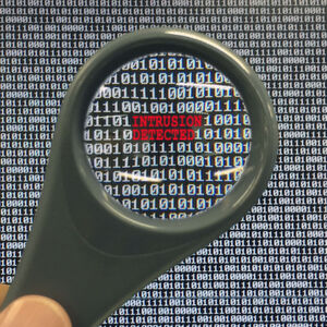 Ein Intrusion Detection System (IDS) erkennt anhand bestimmter Muster selbständig Angriffe auf Computersysteme oder Netzwerke und warnt davor. Ein Intrusion Detection System (IDS) erkennt anhand bestimmter Muster selbständig Angriffe auf Computersysteme oder Netzwerke und warnt davor.