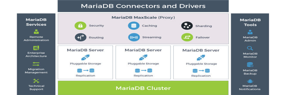 Mit MariaDB TX 2.0 bündelt der Anbieter Technologien und Services für den Einsatz in kritischen Anwendungsbereichen. Mit MariaDB TX 2.0 bündelt der Anbieter Technologien und Services für den Einsatz in kritischen Anwendungsbereichen.