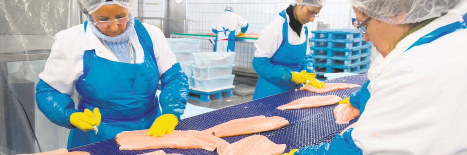 Um die einzelnen Supply-Chain-Prozesse zuverlässig nachvollziehen zu können, ist eine detaillierte und lückenlose Dokumentation notwendig. Um die einzelnen Supply-Chain-Prozesse zuverlässig nachvollziehen zu können, ist eine detaillierte und lückenlose Dokumentation notwendig.