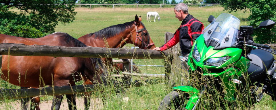 Worauf Biker bei der sommerlichen Motorradausfahrt achten sollten, hat das Institut für Zwieradsicherheit (ifz) zusammengefasst. Worauf Biker bei der sommerlichen Motorradausfahrt achten sollten, hat das Institut für Zwieradsicherheit (ifz) zusammengefasst.
