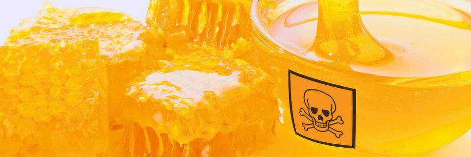 Honeypots werden prominent in Netzwerken platziert, die ein potenzielles Angriffsziel darstellen Honeypots werden prominent in Netzwerken platziert, die ein potenzielles Angriffsziel darstellen