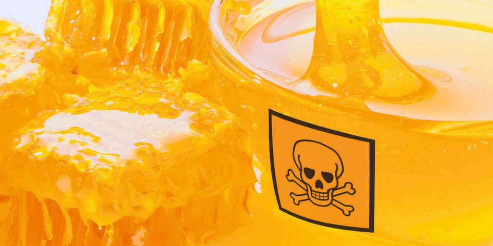 Honeypots werden prominent in Netzwerken platziert, die ein potenzielles Angriffsziel darstellen Honeypots werden prominent in Netzwerken platziert, die ein potenzielles Angriffsziel darstellen
