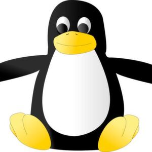 Auch unter Linux sind - unter den richtigen Voraussetzungen - harte Echtzeitanforderungen erfüllbar. Auch unter Linux sind - unter den richtigen Voraussetzungen - harte Echtzeitanforderungen erfüllbar.