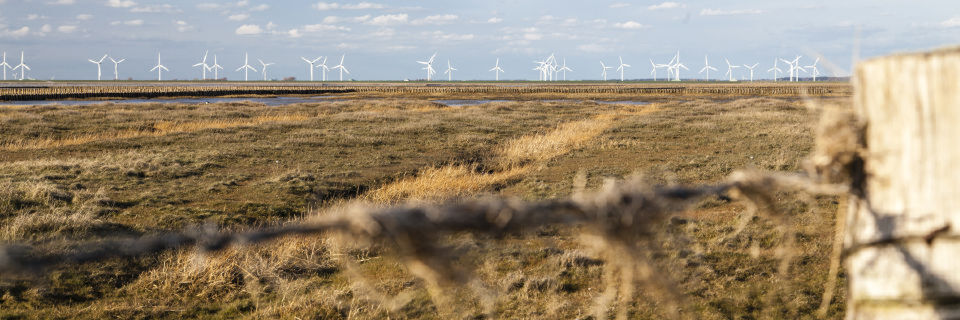 100-Gbit-Glasfaser unter dem Acker: Windcloud verortet das nordfriesische Rechzentrum in unmittelbarer Nähe zum Glasfaser-Highway zwischen Mitteleuropa und Skandinavien. 100-Gbit-Glasfaser unter dem Acker: Windcloud verortet das nordfriesische Rechzentrum in unmittelbarer Nähe zum Glasfaser-Highway zwischen Mitteleuropa und Skandinavien.