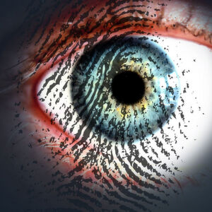 Zur Identifikation einer bestimmten Person, vergleicht der Rechner ein zuvor gespeichertes Vergleichsmuster bestimmter biometrischer Merkmale mit den vom Sensor erfassten Daten. Zur Identifikation einer bestimmten Person, vergleicht der Rechner ein zuvor gespeichertes Vergleichsmuster bestimmter biometrischer Merkmale mit den vom Sensor erfassten Daten.