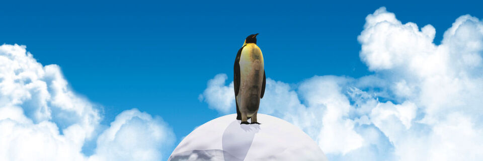 Bei „Linux on Azure“ wird Microsoft zum Open-Source-Fan. Bei „Linux on Azure“ wird Microsoft zum Open-Source-Fan.