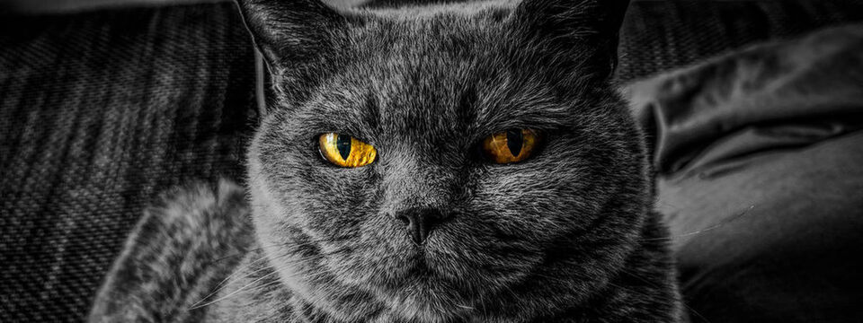 Software Defined Datacenter (SDDC) bedeutet Automatisierung; doch ohne Automatisierung kein SDDC - wo liegen sonst noch die Hindernisse? Gibt es einen Ausweg? Software Defined Datacenter (SDDC) bedeutet Automatisierung; doch ohne Automatisierung kein SDDC - wo liegen sonst noch die Hindernisse? Gibt es einen Ausweg?