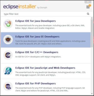 Wählt man während der Eclipse-Installation die Option „Java EE für Entwickler“ aus, werden einige für AWS benötigte Pakete mit installiert. Wählt man während der Eclipse-Installation die Option „Java EE für Entwickler“ aus, werden einige für AWS benötigte Pakete mit installiert.