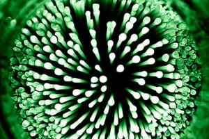 In einer monolithischen Anwendung gibt es zumeist nur eine einzige Datenbank. Das macht die Handhabung einfach. In einer auf Microservices basierten Anwendung sind per se mehrere Datenbanken zu aktualisieren, die zu unterschiedlichen Diensten gehören. In einer monolithischen Anwendung gibt es zumeist nur eine einzige Datenbank. Das macht die Handhabung einfach. In einer auf Microservices basierten Anwendung sind per se mehrere Datenbanken zu aktualisieren, die zu unterschiedlichen Diensten gehören.