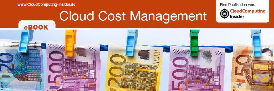 Auszug aus dem eBook „Cloud Cost Management“. Auszug aus dem eBook „Cloud Cost Management“.