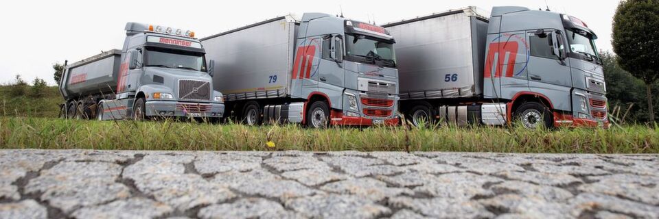 Menninger ist mit 80 Fahrzeugen in ganz Europa unterwegs. Menninger ist mit 80 Fahrzeugen in ganz Europa unterwegs.