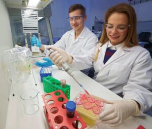 Dr. Jana Gerstmeier und Markus Werner arbeiten am Lehrstuhl für Pharmazeutische und Medizinische Chemie der Universität Jena. Die Forscher konnten gemeinsam mit Kollegen der Harvard Medial School in Boston zeigen, dass Krankheitserreger in menschlichen Immunzellen ganz gegensätzliche Wirkungen hervorrufen können. Dr. Jana Gerstmeier und Markus Werner arbeiten am Lehrstuhl für Pharmazeutische und Medizinische Chemie der Universität Jena. Die Forscher konnten gemeinsam mit Kollegen der Harvard Medial School in Boston zeigen, dass Krankheitserreger in menschlichen Immunzellen ganz gegensätzliche Wirkungen hervorrufen können.