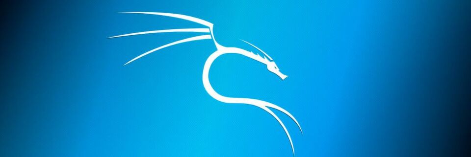 Kali Linux: Die Distribution ist vollgestopft mit Hacking-Tools, perfekt für IT-Experten und Pentester. Kali Linux: Die Distribution ist vollgestopft mit Hacking-Tools, perfekt für IT-Experten und Pentester.
