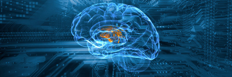 TensorFlow, das Framework für die Programmierung Neuronaler Netze, basiert auf einem C++ Low Level-Backend, das über eine Python-Bibliothek gesteuert wird und sich sowohl auf CPU als auch GPU (Clustern) ausführen lässt. TensorFlow ermöglicht eine Darstellung von beliebigen Neuronalen Netzen durch gerichtete zyklenfreie Graphen, die auf verteilten Computer-Systemen abgebildet werden können. TensorFlow, das Framework für die Programmierung Neuronaler Netze, basiert auf einem C++ Low Level-Backend, das über eine Python-Bibliothek gesteuert wird und sich sowohl auf CPU als auch GPU (Clustern) ausführen lässt. TensorFlow ermöglicht eine Darstellung von beliebigen Neuronalen Netzen durch gerichtete zyklenfreie Graphen, die auf verteilten Computer-Systemen abgebildet werden können.