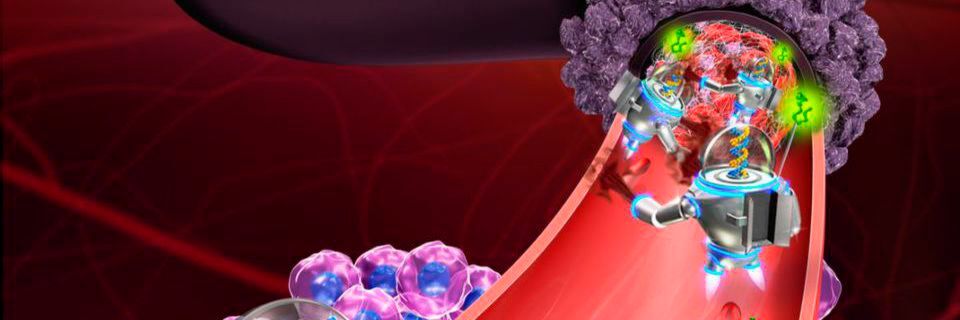 Wissenschaftler der Arizona State University (ASU) und des National Center for Nanoscience and Technology (NCNST) haben erfolgreich Nanoroboter programmiert, um Tumore zu schrumpfen, indem sie ihre Blutversorgung unterbrechen. Wissenschaftler der Arizona State University (ASU) und des National Center for Nanoscience and Technology (NCNST) haben erfolgreich Nanoroboter programmiert, um Tumore zu schrumpfen, indem sie ihre Blutversorgung unterbrechen.