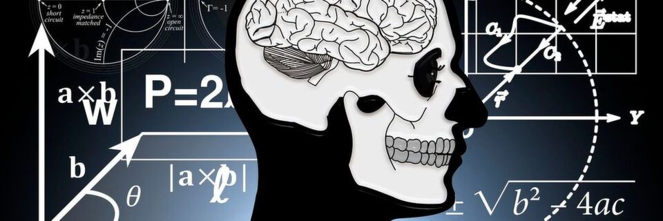 Die neuen neuromorphen Mikrochips bilden wichtige Funktionen des Gehirns nach. Die neuen neuromorphen Mikrochips bilden wichtige Funktionen des Gehirns nach.