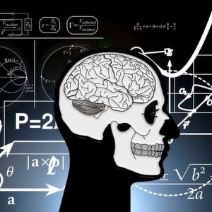 Die neuen neuromorphen Mikrochips sollen wichtige Funktionen des Gehirns nachbilden. Die neuen neuromorphen Mikrochips sollen wichtige Funktionen des Gehirns nachbilden.
