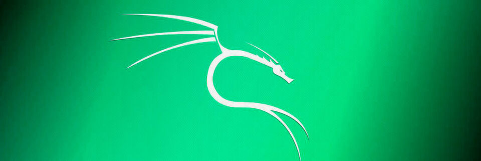Kali Linux bringt alles mit, um Netzwerke auf Herz und Nieren abzuklopfen. Kali Linux bringt alles mit, um Netzwerke auf Herz und Nieren abzuklopfen.