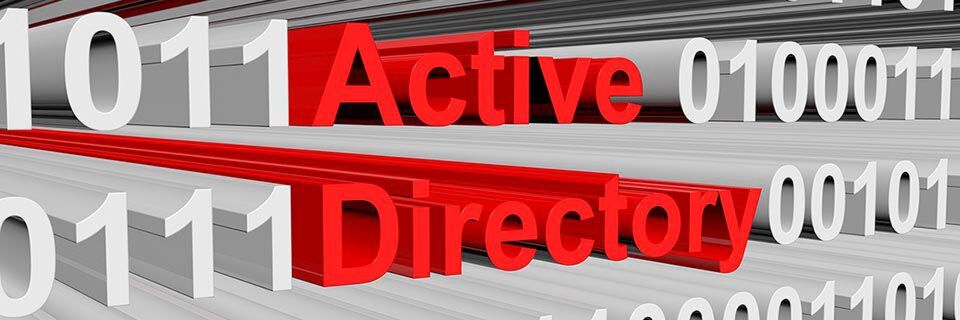 Die Risiken, die mit einem Missmanagement von Active Directory einhergehen, sind real. Die Risiken, die mit einem Missmanagement von Active Directory einhergehen, sind real.