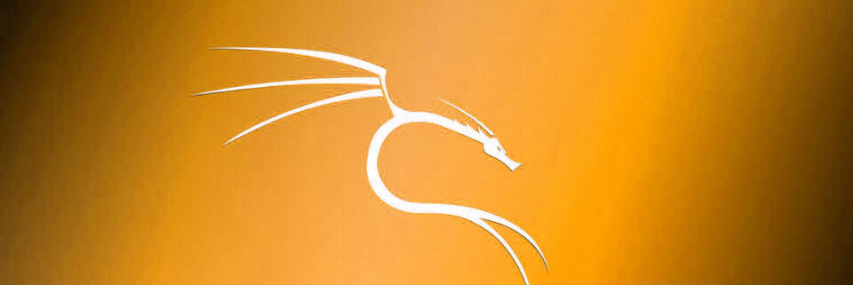 Mit Kali Linux lassen sich potentielle Lücken in Servern schnell aufspüren. Mit Kali Linux lassen sich potentielle Lücken in Servern schnell aufspüren.