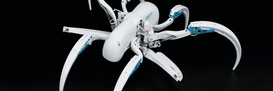 Bionic Wheel Bot: Bewegungsformen nach dem Vorbild der Radlerspinne. Bionic Wheel Bot: Bewegungsformen nach dem Vorbild der Radlerspinne.