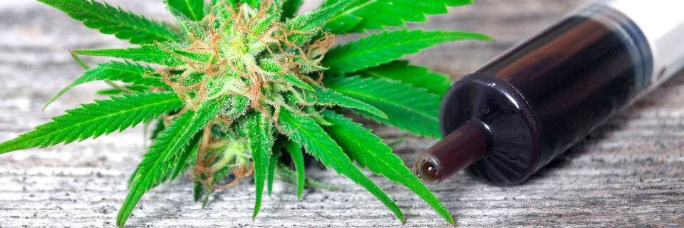 Cannabisöl in Spritze Cannabisöl in Spritze