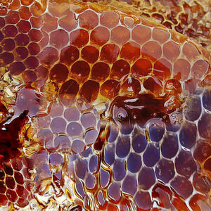 Honeypot und Honeynet sind ein Computersystem oder ein Netzwerk zum gezielten Anlocken von Angriffen. Als Scheinziele sind sie Fallen für Hacker und Cyberkriminelle. Honeypot und Honeynet sind ein Computersystem oder ein Netzwerk zum gezielten Anlocken von Angriffen. Als Scheinziele sind sie Fallen für Hacker und Cyberkriminelle.