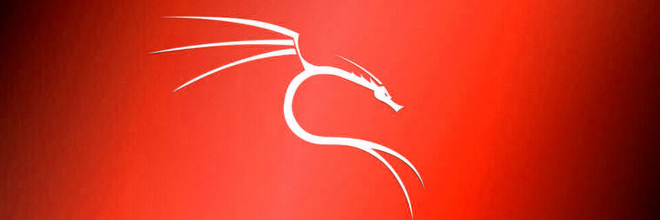 Kali Linux bietet zahlreiche Werkzeuge, mit denen sich Speichermedien und Daten forensisch untersuchen lassen. Kali Linux bietet zahlreiche Werkzeuge, mit denen sich Speichermedien und Daten forensisch untersuchen lassen.
